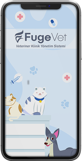 Mockup 4